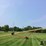 westfield-wr80-51-8"x51'-grain-auger-image-8
