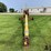 westfield-wr80-51-8"x51'-grain-auger-image-2