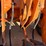doosan-mega-200-v-image-14