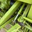 2003-claas-66-image-17