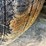 2003-ford-crown-vic-(188,503-miles)-image-13