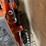 #9727-•-future-mini-skid-steer-loader-image-4
