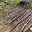 #2829-•-large-pile-of-used-t-posts-image-4