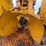 minneapolis-moline-gtb-image-20