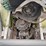 #8389-•-turfco-t3100-spreader-image-4