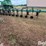 hawkins-cultivator-image-6