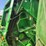 john-deere-459-image-17