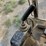 caterpillar-225-image-20