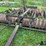 dunhan-co-cm76-culti-mulcher-image-12