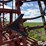 krause-4129-image-10