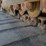 caterpillar-d6k2-lgp-image-69