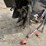 #9782-•-future-skid-steer-stump-grinder-attachment-image-3