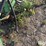 john-deere-2800-image-18