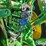 2010-john-deere-8295r-image-19