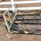#7968-•-metal-shipping-frame-with-sides-and-fork-pockets-image-11