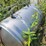 #2824-•-1500-gallon-poly-tank-with-stainless-steel-nitrogen-tank,-waterline-and-pvc-pipe-image-5