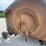 bush-hog-12715-image-20