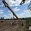 mayrath-auger-image-4