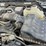 2009-ford-f150-image-28