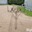 pipe-trailer-image-2