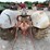 ford-600-image-5