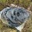 #2834-•-pallet-of-galvanized-fencing-wire-and-metal-stakes-image-2