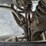 2020-ford-f150-image-20