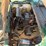 ez-go-2-seater-gas-golf-cart-image-12