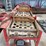 apple-sorter-image-4