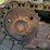 caterpillar-d4c-image-45