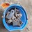 #2819-•-(5)-flail-mower-blade-assemblies-in-bucket-image-1