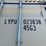 #402-•-40'-high-cube-multi-door-shipping-container-image-38