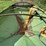 a&l-605-grain-cart-image-20