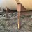 10,000-gallon-fuel-tank-image-6
