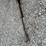 international-120-image-9