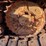 #2629-•-international-d-7e-dozer-|-for-parts/repairs-image-11