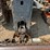 bobcat-v417-image-10