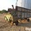 john-deere-chuck-wagon-forage/-feeder-wagon-image-9