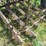 glencoe-soil-saver-image-17