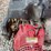 honda-gx160-w/pump-&-55-gallon-spray-tank-image-11