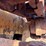 #2629-•-international-d-7e-dozer-|-for-parts/repairs-image-9