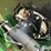 1999-john-deere-925-image-13