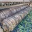 #640-•-brillion-300-seeder-(mason,-wi)-image-9