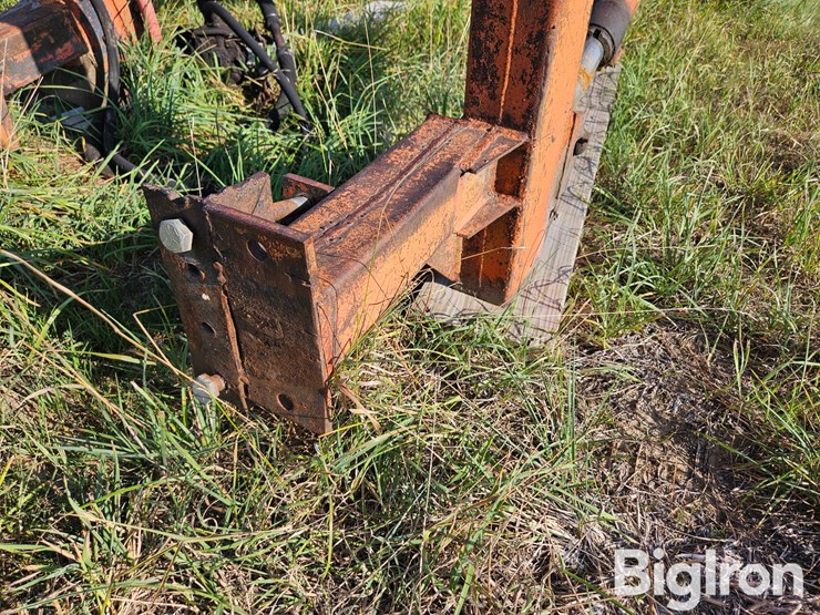 international-m-image-17