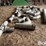 irrigation-pipe-fittings-image-4