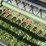 1994-john-deere-920f-image-15