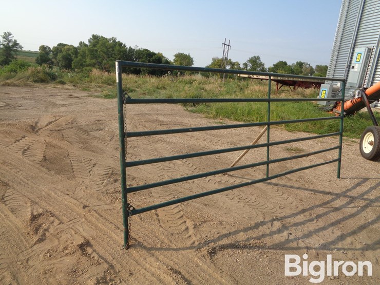 livestock-panel-12'-x-5'-image-5