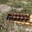 buhler-farm-king-861-image-16