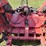 bush-hog-3815-image-7