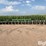 shop-built-16r30-root-slicer-image-2